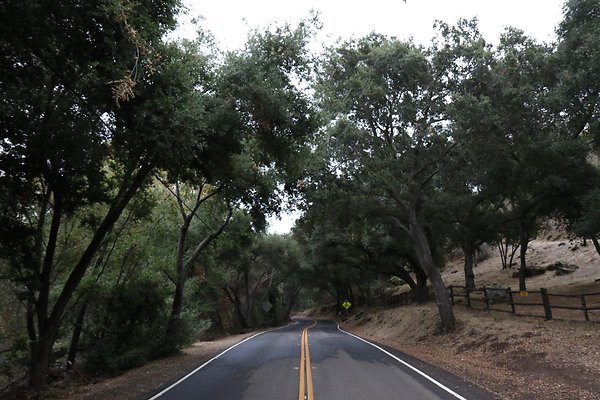 E-Carlisle-Rd 012