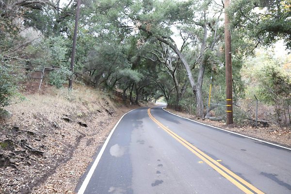 E-Carlisle-Rd 049