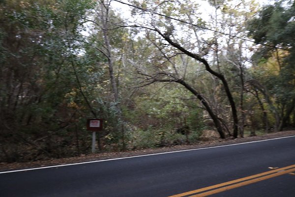 E-Carlisle-Rd 022