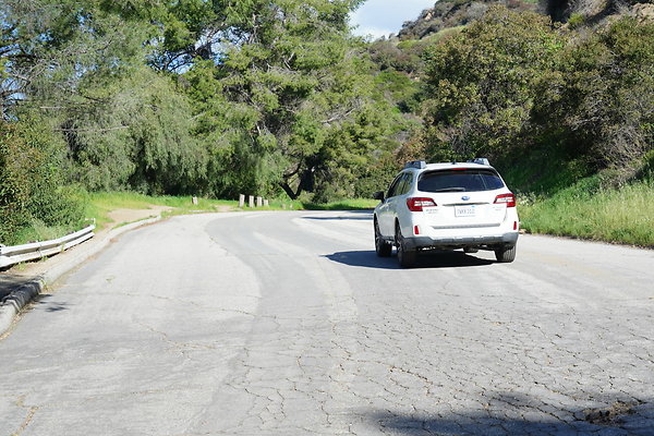 mt-hollywood-dr-2024-241
