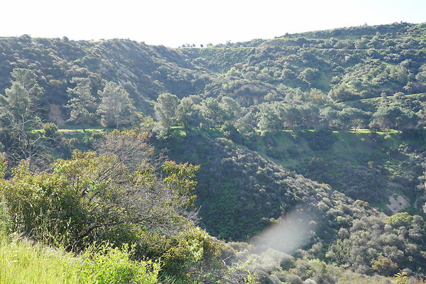 mt-hollywood-dr-2024-268