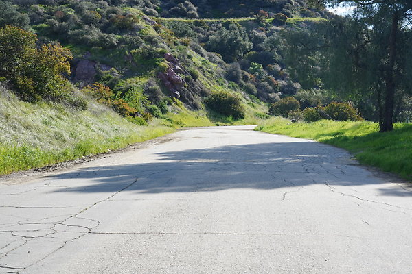 mt-hollywood-dr-2024-271