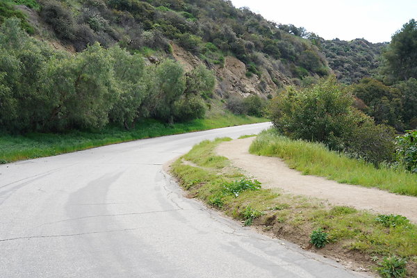 mt-hollywood-dr-2024-291
