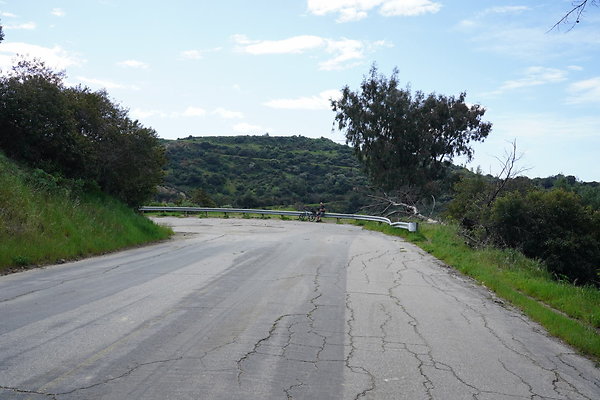 mt-hollywood-dr-2024-289