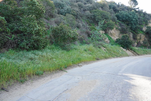 mt-hollywood-dr-2024-243
