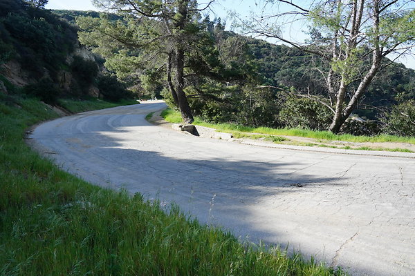mt-hollywood-dr-2024-237
