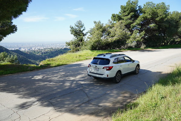 mt-hollywood-dr-2024-275