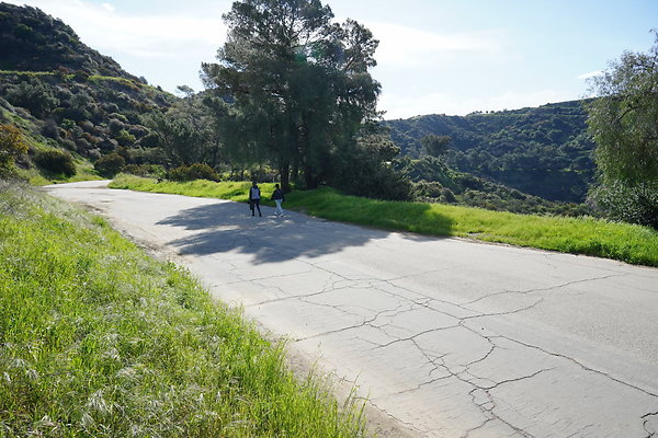 mt-hollywood-dr-2024-273