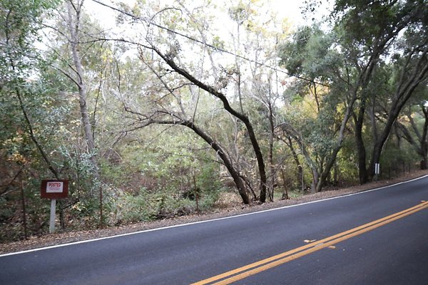 E-Carlisle-Rd 025