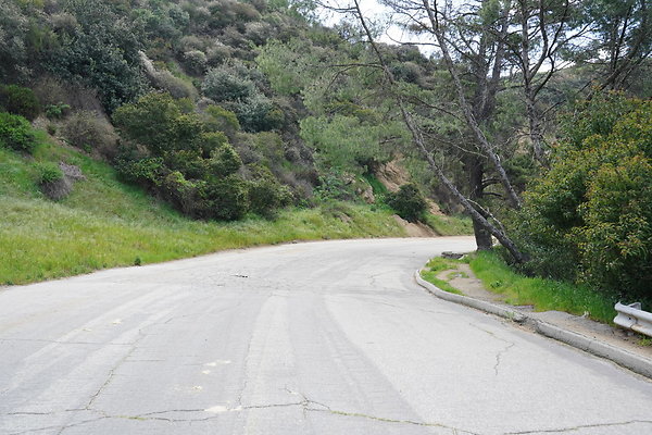 mt-hollywood-dr-2024-293