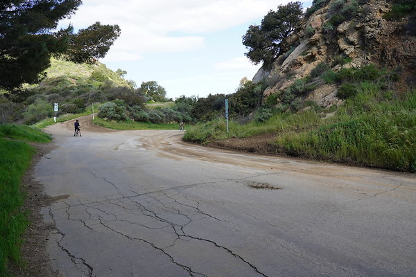 mt-hollywood-dr-2024-276