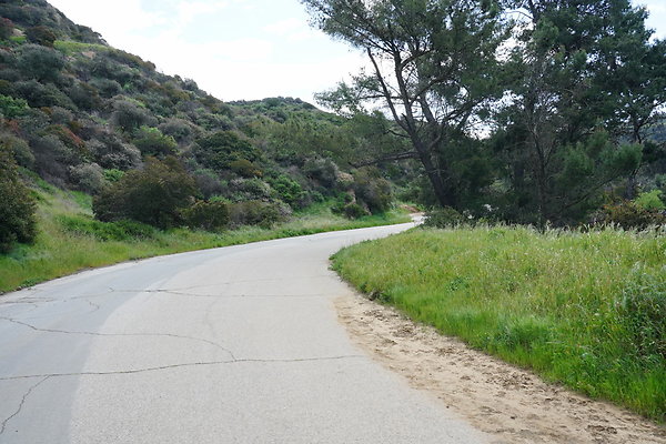 mt-hollywood-dr-2024-285