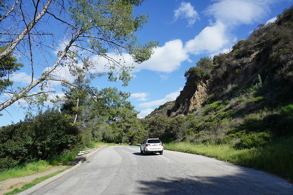 Griffith-Mt-Hollywood-Dr-2-Mid