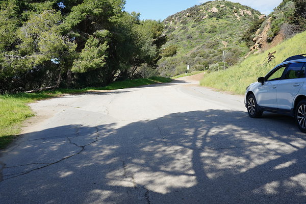 mt-hollywood-dr-2024-279