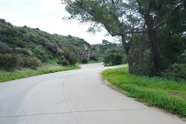 mt-hollywood-dr-2024-286