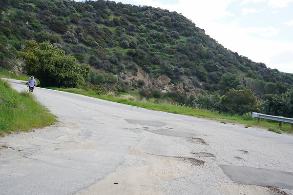 mt-hollywood-dr-2024-290