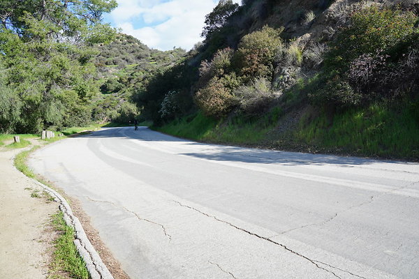 mt-hollywood-dr-2024-249