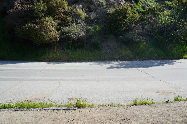 mt-hollywood-dr-2024-253