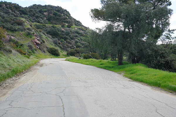 mt-hollywood-dr-2024-284