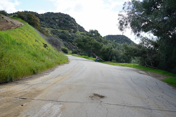 mt-hollywood-dr-2024-283