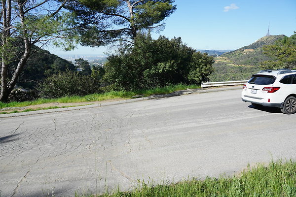 mt-hollywood-dr-2024-238