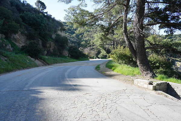 mt-hollywood-dr-2024-244