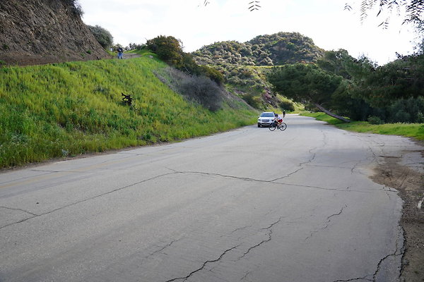 mt-hollywood-dr-2024-278