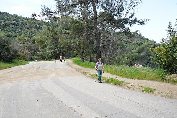 mt-hollywood-dr-2024-294