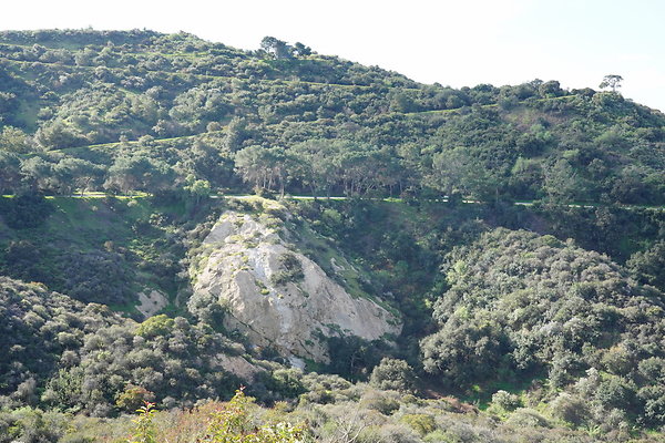 mt-hollywood-dr-2024-269