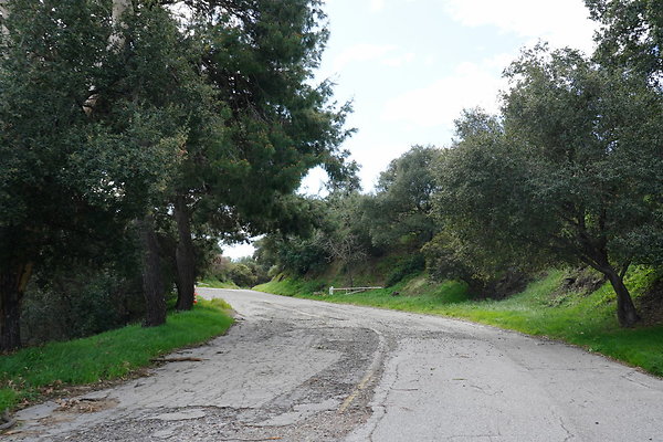 mt-hollywood-dr-2024-280