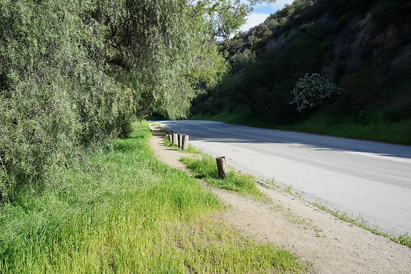 mt-hollywood-dr-2024-252
