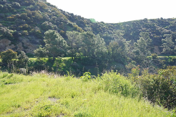 mt-hollywood-dr-2024-267