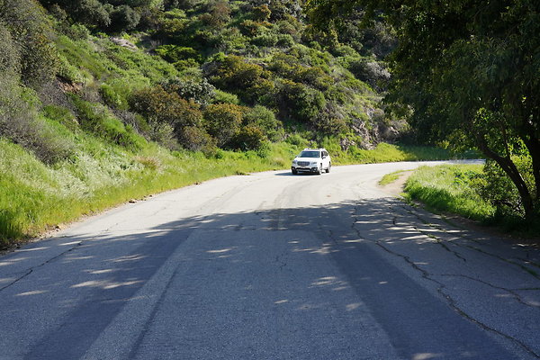 mt-hollywood-dr-2024-261