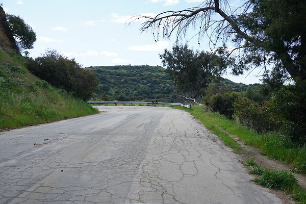 mt-hollywood-dr-2024-288