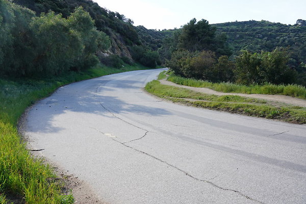 mt-hollywood-dr-2024-255