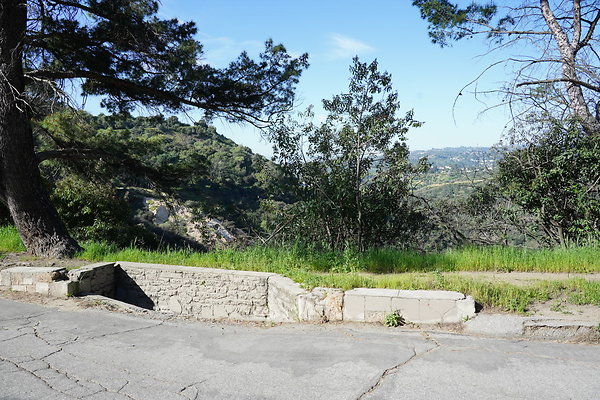 mt-hollywood-dr-2024-245