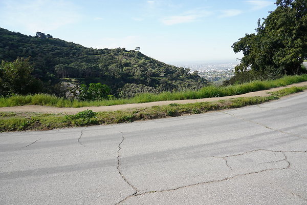 mt-hollywood-dr-2024-256