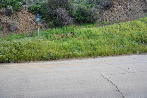 mt-hollywood-dr-2024-277