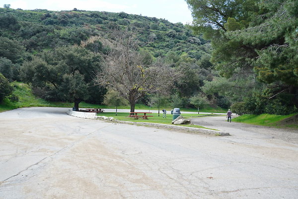 mt-hollywood-dr-2024-295