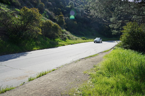 mt-hollywood-dr-2024-254