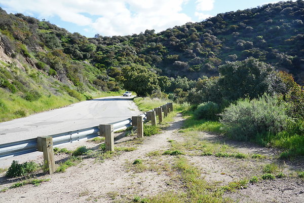 mt-hollywood-dr-2024-266