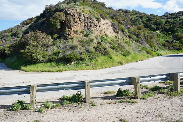 mt-hollywood-dr-2024-265