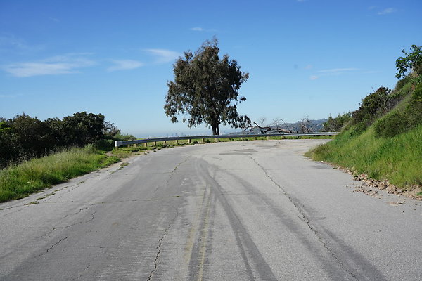 mt-hollywood-dr-2024-262