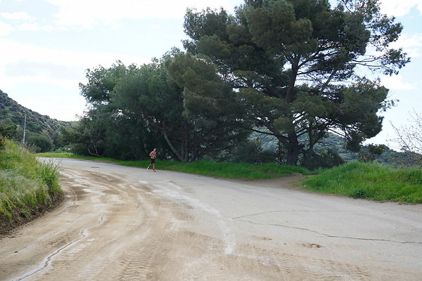 mt-hollywood-dr-2024-282