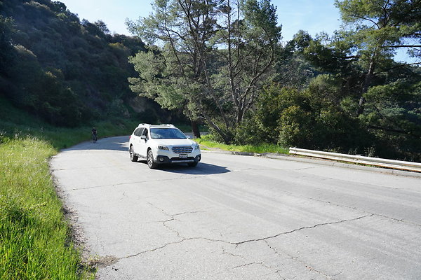 mt-hollywood-dr-2024-246