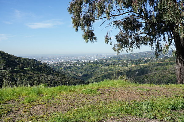 mt-hollywood-dr-2024-270