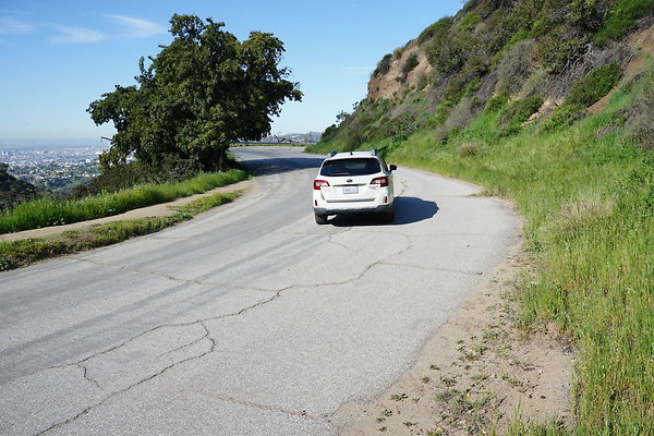 mt-hollywood-dr-2024-257