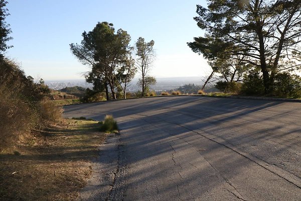 mt-hollywood-dr 097