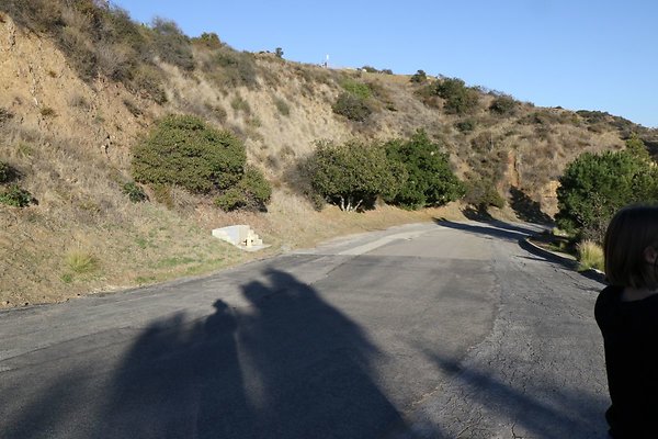 mt-hollywood-dr 039