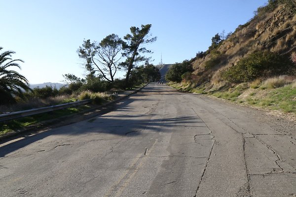 mt-hollywood-dr 059